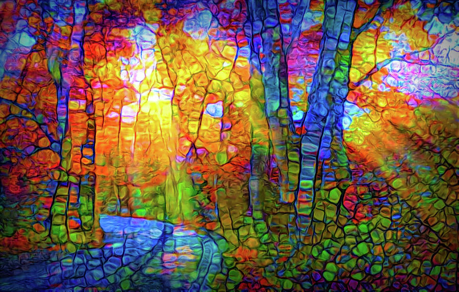 Light in the woods #2 Mixed Media by Lilia S