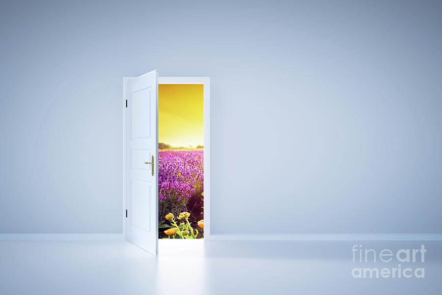 Nature Photograph - Light shining from open door. Entrance #1 by Michal Bednarek