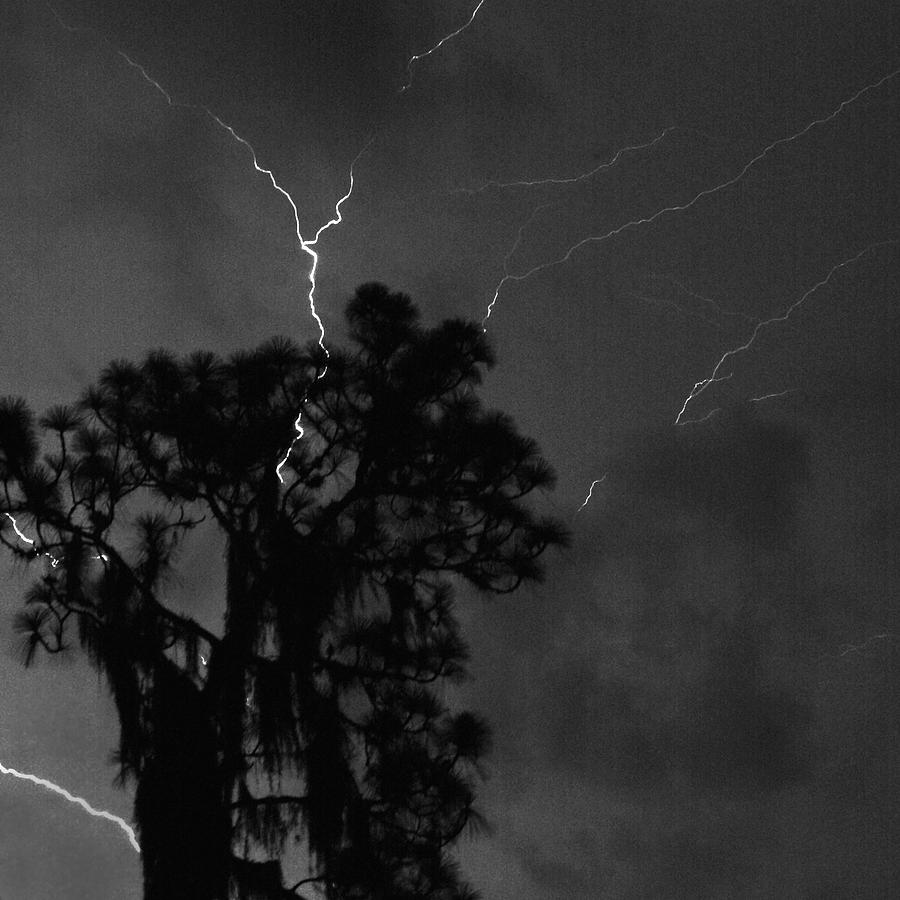 Lightning #1 Photograph by Larah McElroy