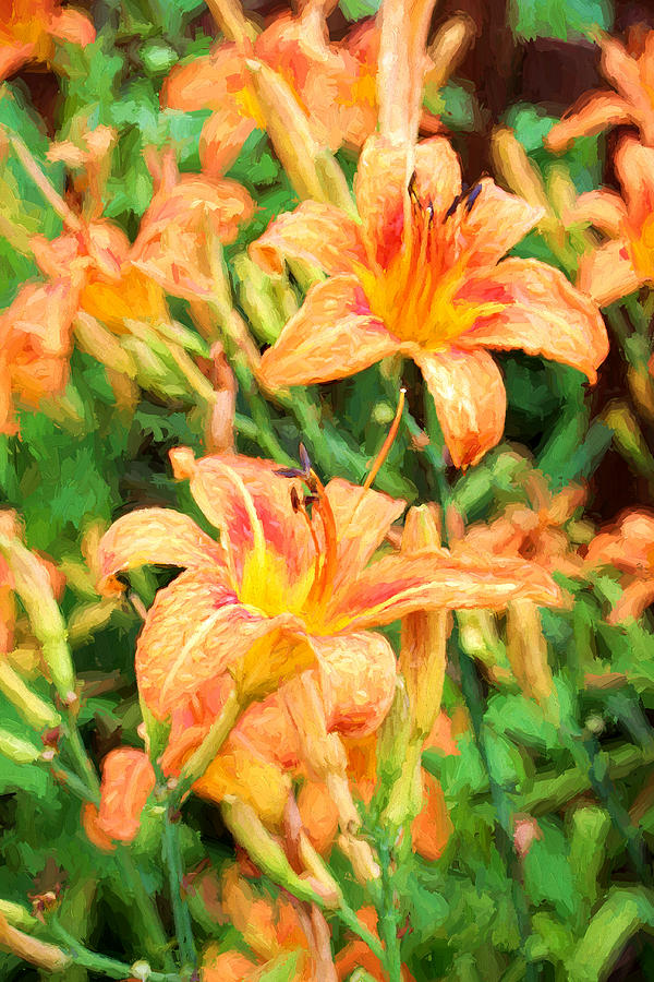 Lilies #1 Photograph by John Freidenberg