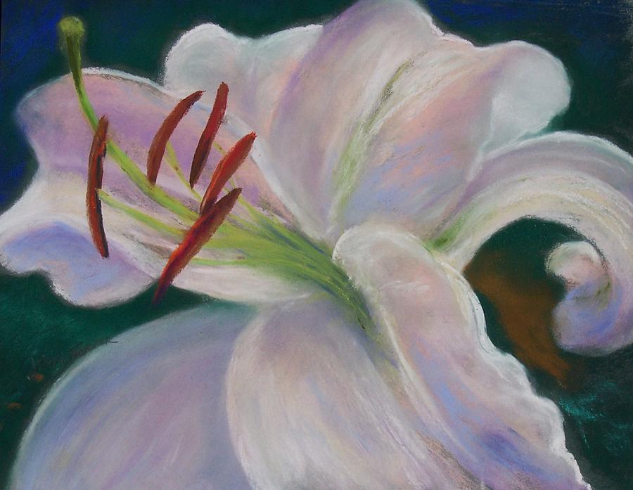 Lily #2 Pastel by Jackie Bush-Turner