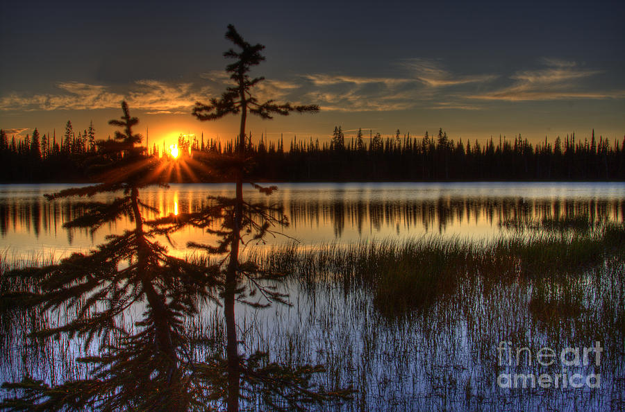 Sunset Photograph - Lily Lake Sunset 1 #1 by Katie LaSalle-Lowery