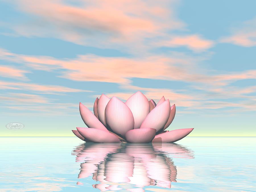 Lily lotus flower 3D render Digital Art by Elenarts