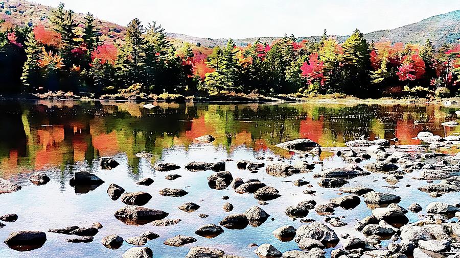 Lily Pond, Kancamagus Highway - New Hampshire  #1 Photograph by Joseph Hendrix
