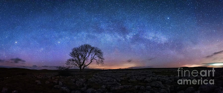 Limestone, Lonely Tree And Milky Way - Panoramic Photograph
