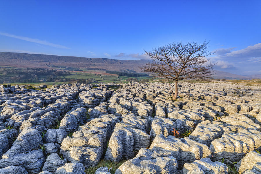 Limestone Pavement in the yorkshire dales #2 Photograph by Chris Smith