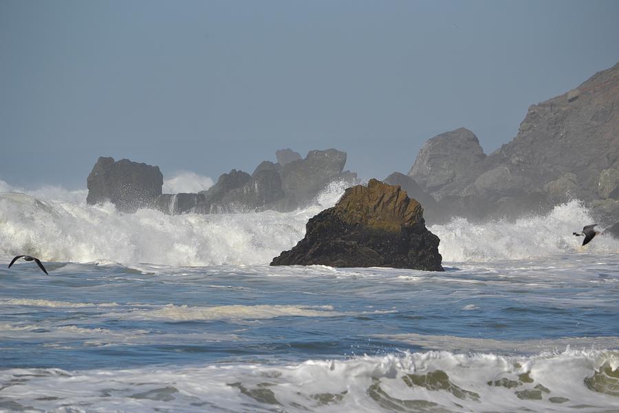 Linda Mar Beach - Big Waves #1 Photograph by Dean Ferreira