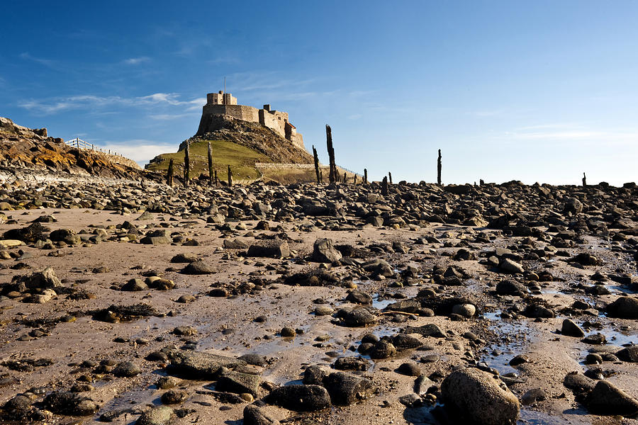 Lindisfarne Castle at low tide. #1 Photograph by John Paul Cullen