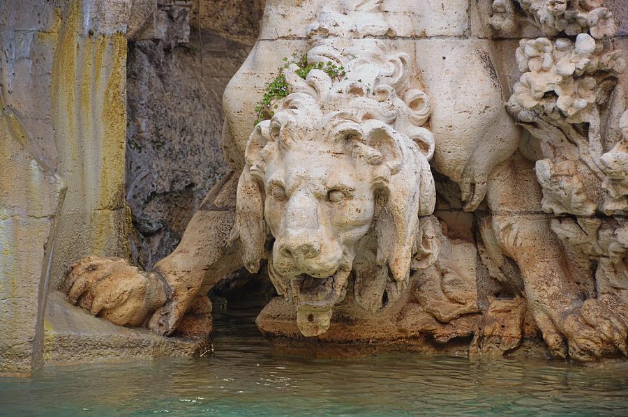 Lion In The Fountain Photograph by JAMART Photography
