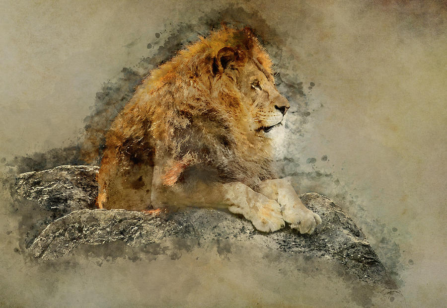Lion on the rocks #1 Digital Art by Jaroslaw Blaminsky