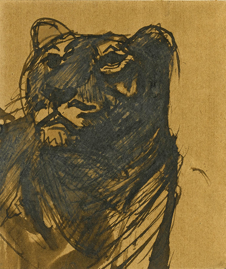 Lioness #2 Drawing by Franz Marc