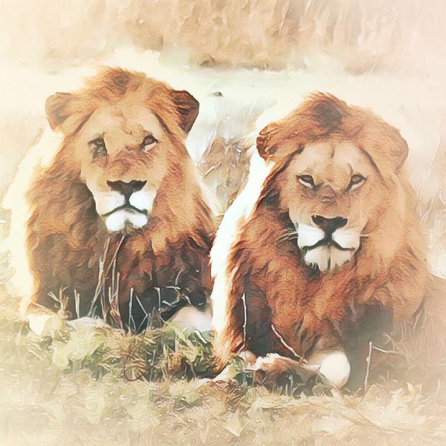 Lions #1 Photograph by Gini Moore