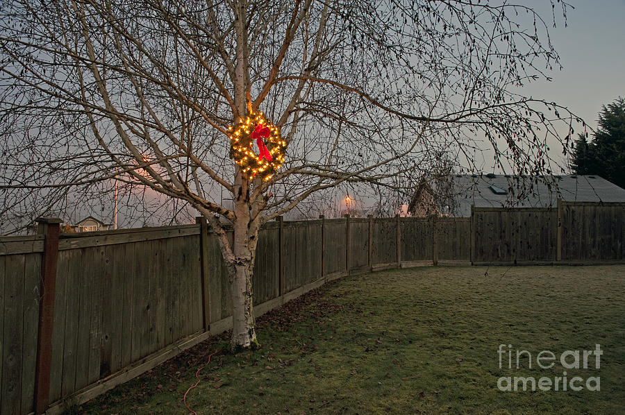 Lit Christmas Wreath Hanging In Tree #1 Photograph by Jim Corwin