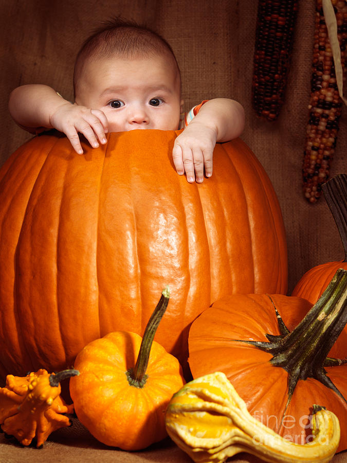 Little Baby Boy Sitting Inside a Large Pumpkin #1 Photograph by Maxim Images Exquisite Prints