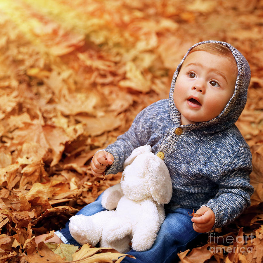 Little boy in autumn forest #1 Photograph by Anna Om