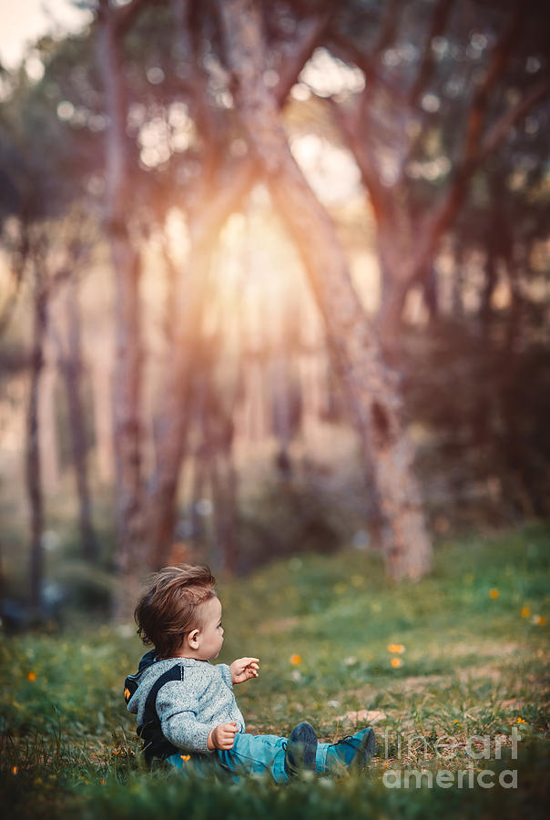 Little boy in the forest #1 Photograph by Anna Om