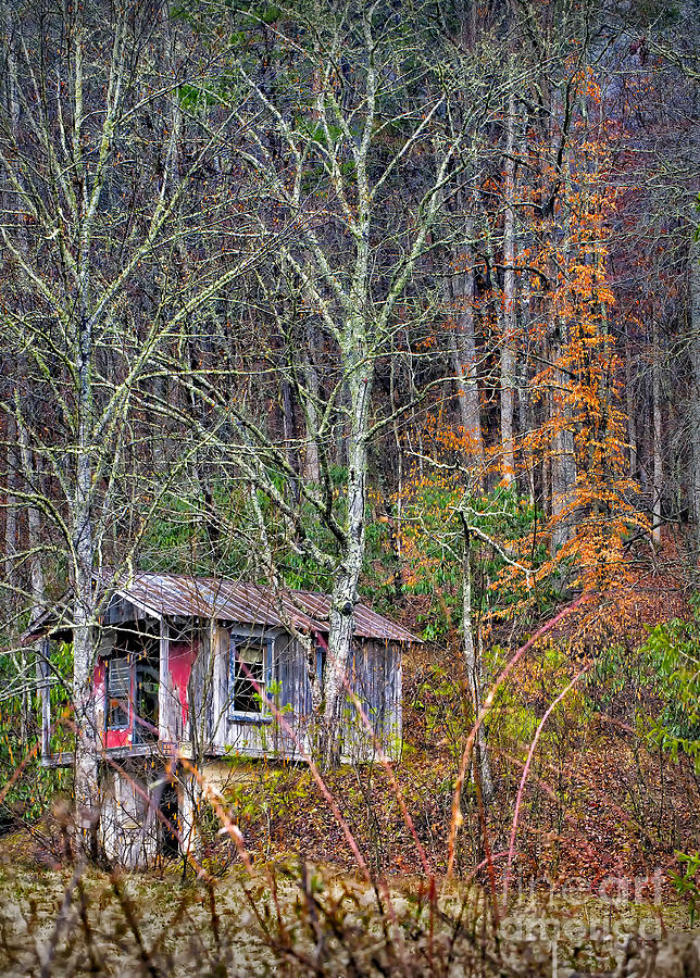 Little Cabin in the Woods 2 Photograph by Walt Foegelle