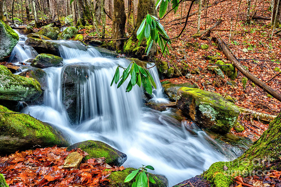 Little Laurel Branch Waterfall #1 Photograph by Thomas R Fletcher