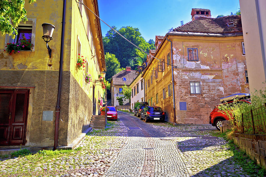 Ljubljana old city cobbled upper town walkway #1 Photograph by Brch Photography