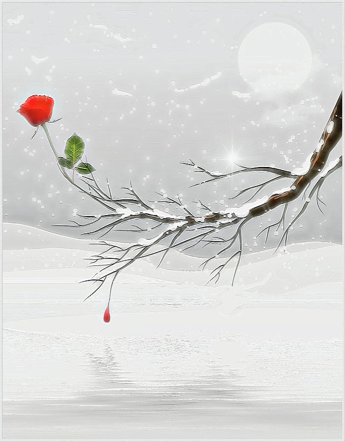 Lo How a Rose Eer Blooming #1 Digital Art by Harald Dastis