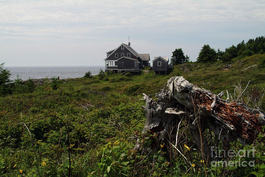 Lobster Cove Photograph by Sheron Fine Art America