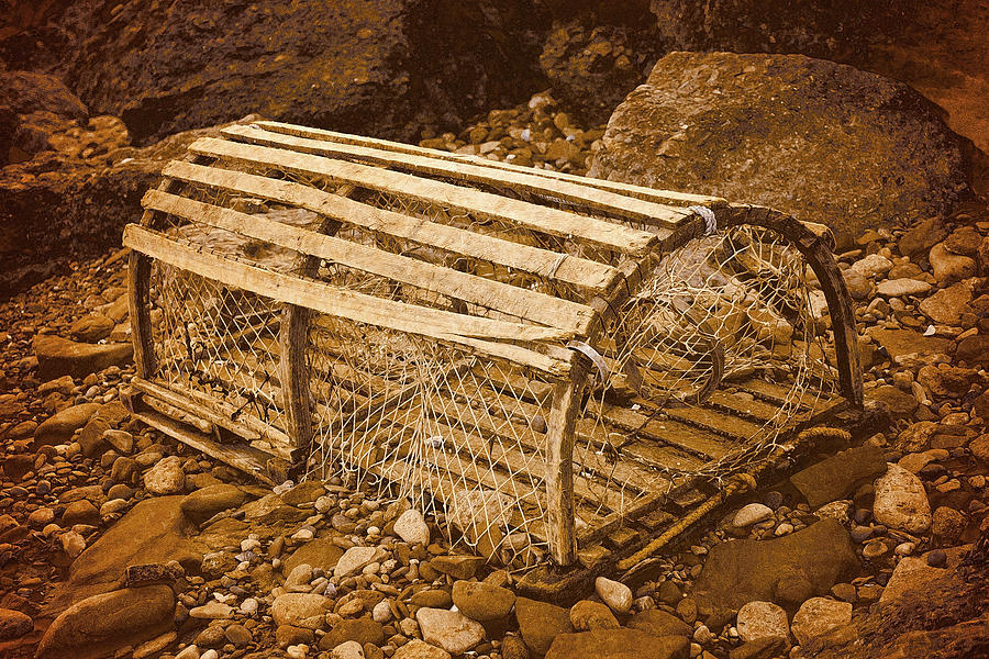 Lobster Trap #1 Photograph by WB Johnston