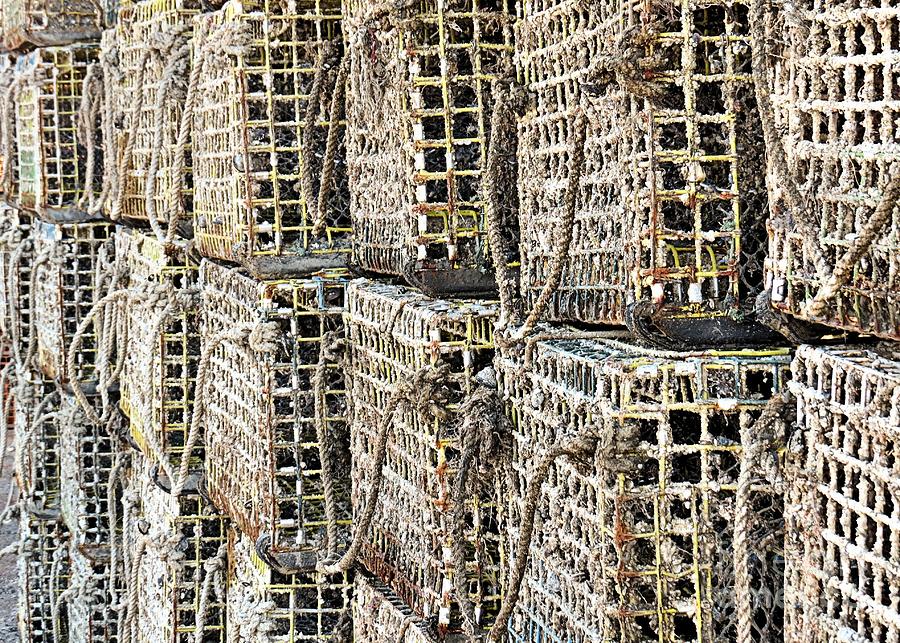 Lobster Traps Closeup Photograph by Janice Drew