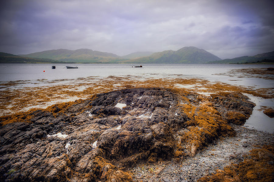 Loch Creran Coastline #1 Photograph by Ray Devlin