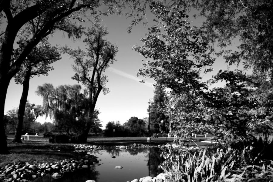 Lodi Lake Autumn B and W #1 Photograph by Joyce Dickens