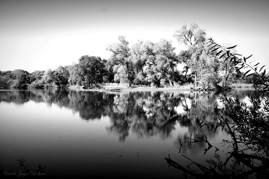 Fall Photograph - Lodi Lake Autumn Reflections B and W by Joyce Dickens