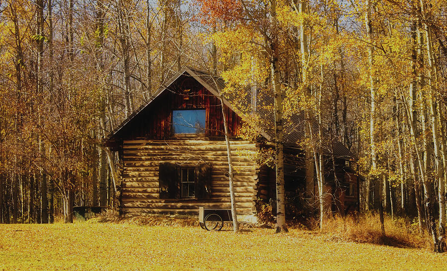 Log Cabin In The Woods #1 Photograph by Mountain Dreams