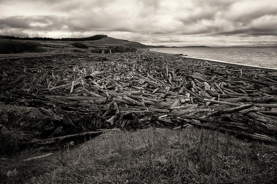 Log Jam #1 Photograph by Thomas Ashcraft
