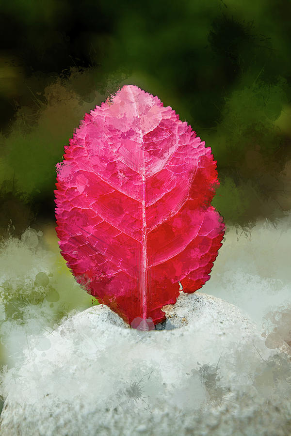 Nature Mixed Media - Lone Leaf #2 by Terry Davis