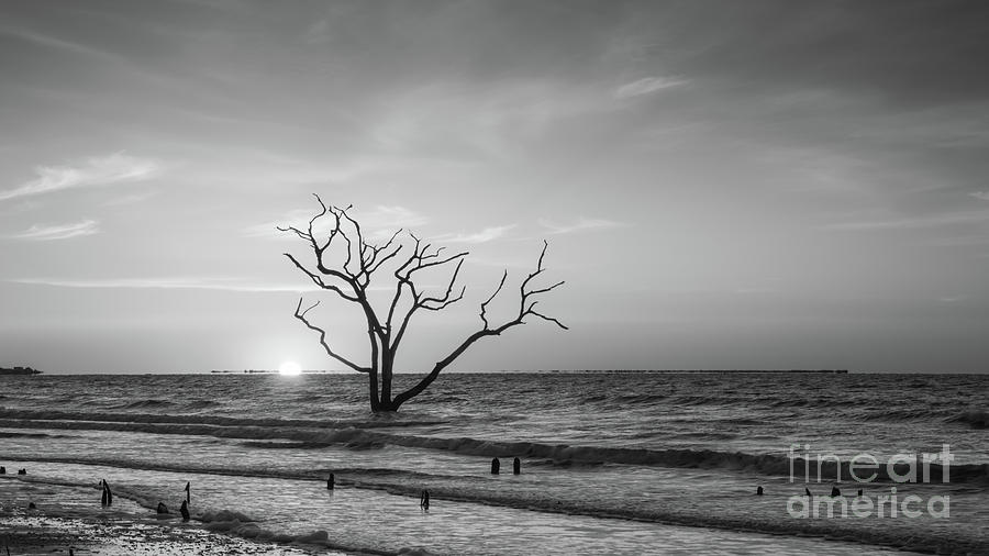 Lone Tree Sunrise  #1 Photograph by Michael Ver Sprill