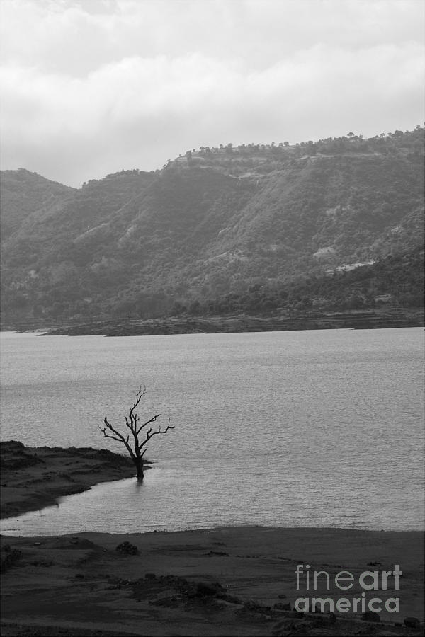 Loneliness #1 Photograph by Kiran Joshi