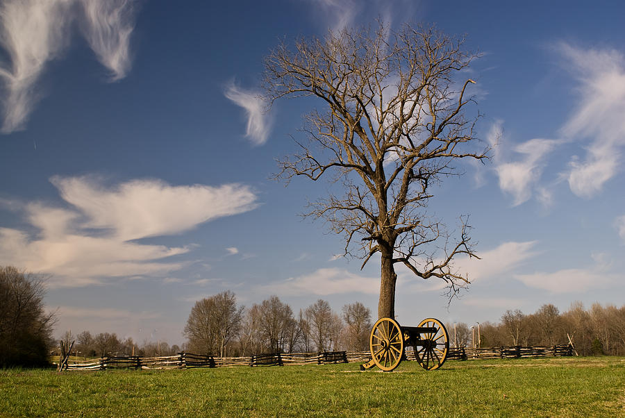 Tree Photograph - Loneliness of the Battle Field #1 by Douglas Barnett
