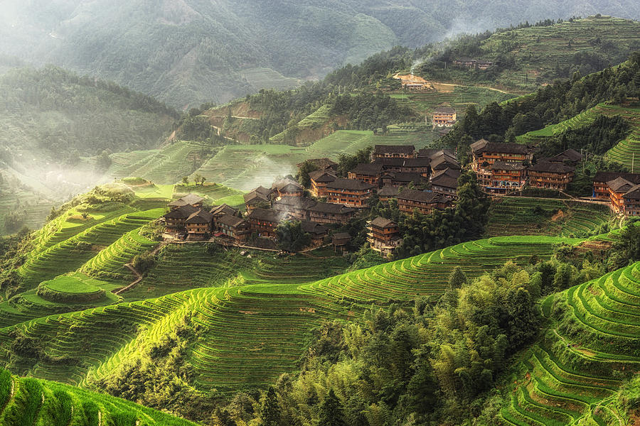 Mountain Photograph - Longji Rice Terrace #1 by Aaron Choi