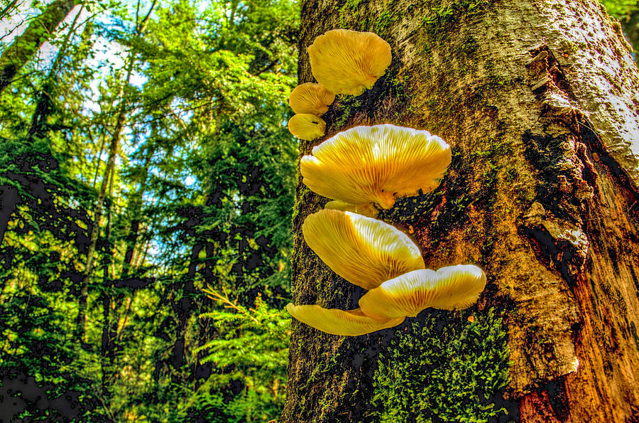Look Up by Michael Potts Look Up by Michael Potts