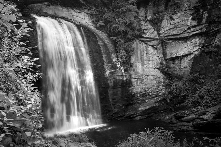 Looking Glass Falls #1 Photograph by Howard Salmon