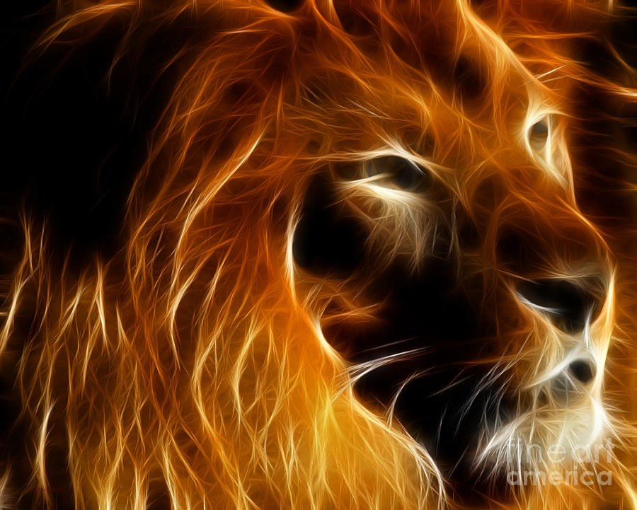 Lord Of The Jungle #2 Photograph by Wingsdomain Art and Photography