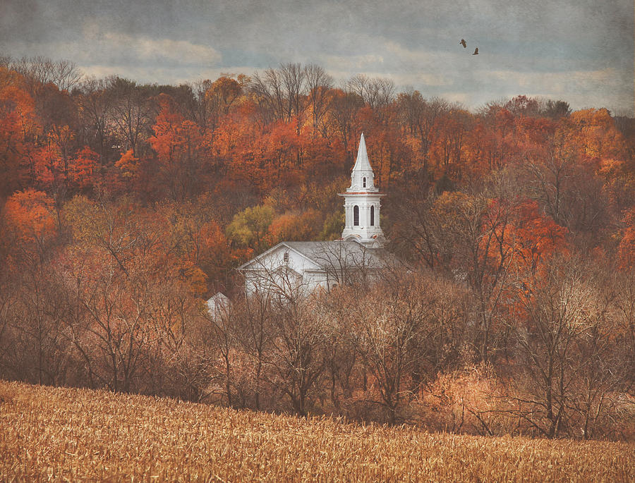 Lost In Autumn Photograph by Pat Abbott