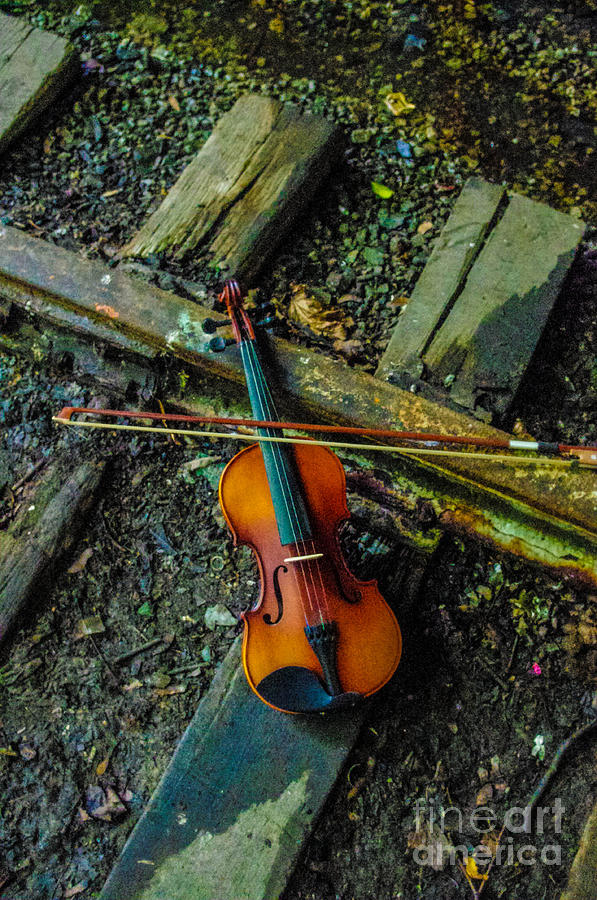Lost violin #1 Photograph by Gerald Kloss