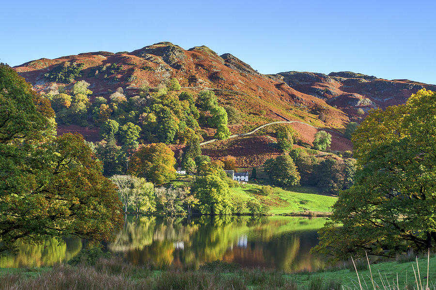 Loughrigg Tarn. Photograph by Angela Aird - Fine Art America