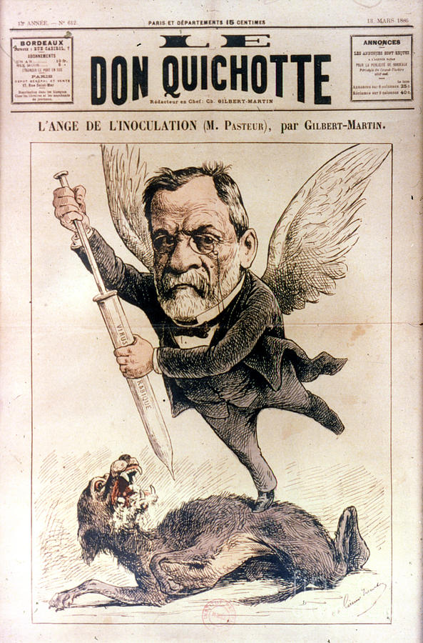 Louis Pasteur (1822-1895) #1 Photograph by Granger
