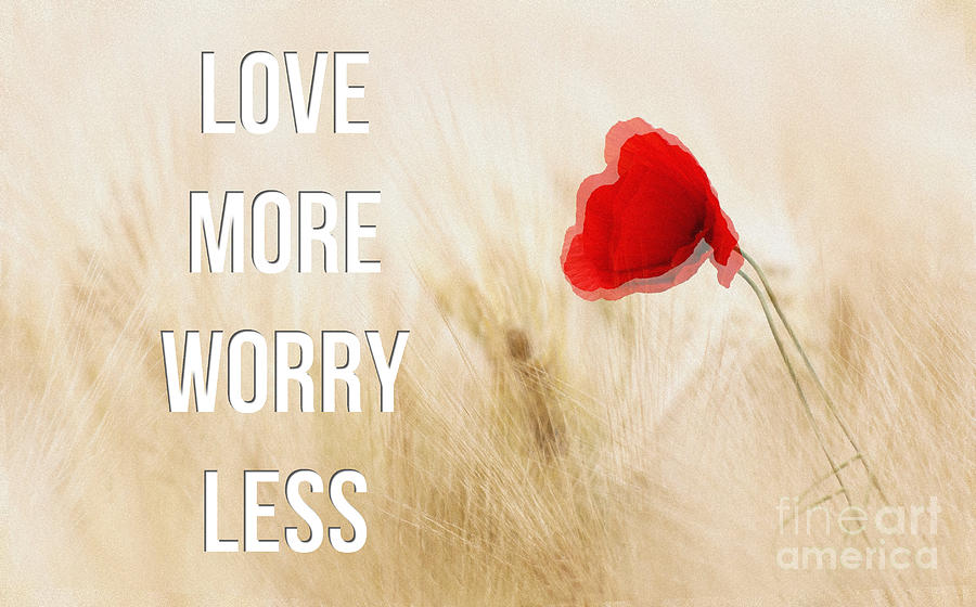 Love More Worry Less - Inspirational Poster #1 Painting by Celestial Images