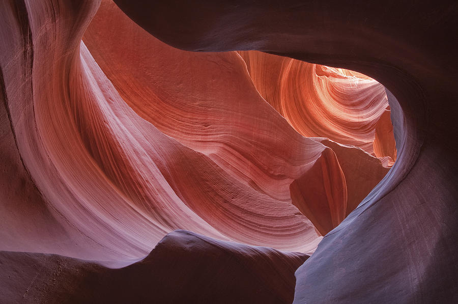 Lower Antelope Canyon 7729 Photograph by Bob Neiman - Fine Art America