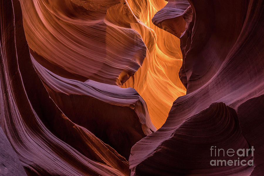 Lower Antelope Canyon Photograph by Craig Shaknis