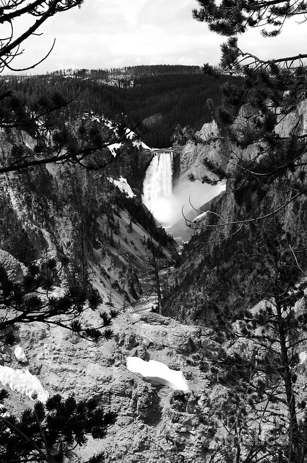 Lower Falls from Artist Point Yellowstone National Park Wyoming Black and White #4 Photograph by Shawn OBrien