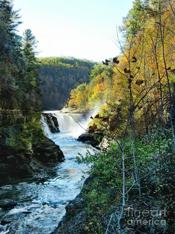 Lower Falls Letchworth State Park Photograph by Elizabeth Duggan - Fine ...