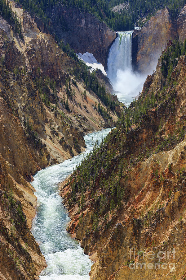 Lower Falls on the Yellowstone river #1 Photograph by Henk Meijer Photography